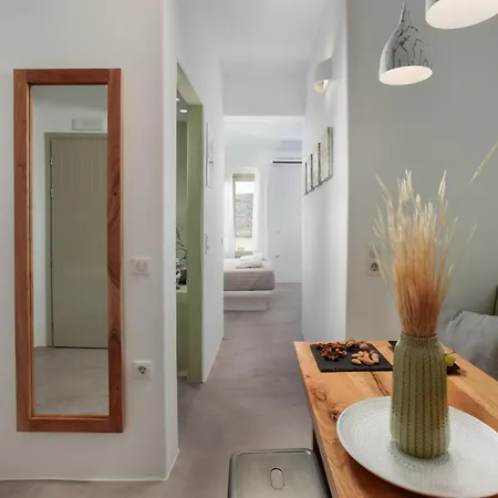 Halcyon And Naxos Hotel apartamentowy