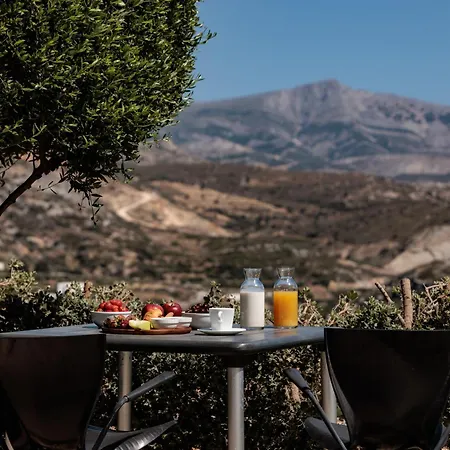 Hotel apartamentowy Halcyon And Naxos Agios Thaleleos