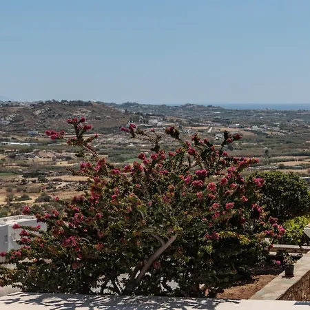 Halcyon And Naxos Lägenhetshotell Agios Thaleleos