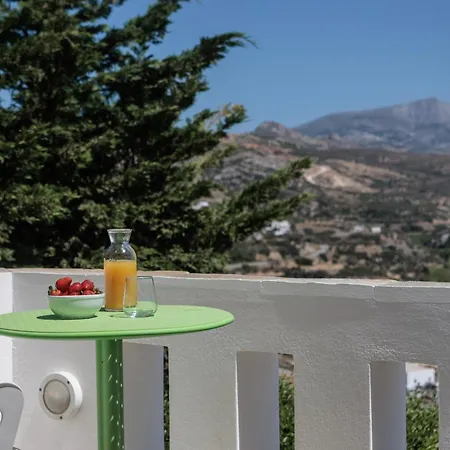 Halcyon And Naxos Lägenhetshotell Agios Thaleleos
