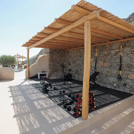 Halcyon And Naxos Aparthotel 4*