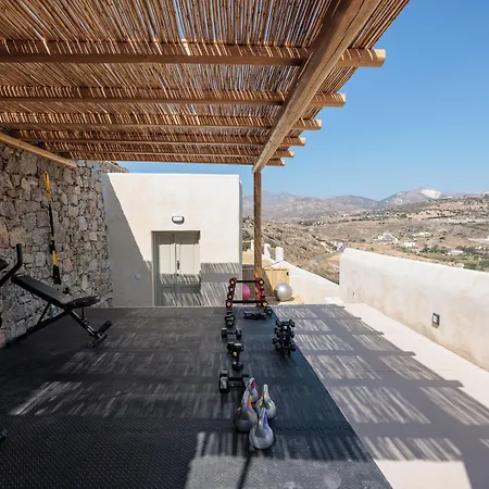 Halcyon And Naxos Aparthotel Agios Thaleleos