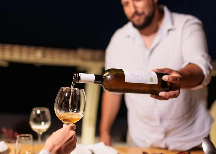 Halcyon Suites And Villas Naxos Aparthotel 4*