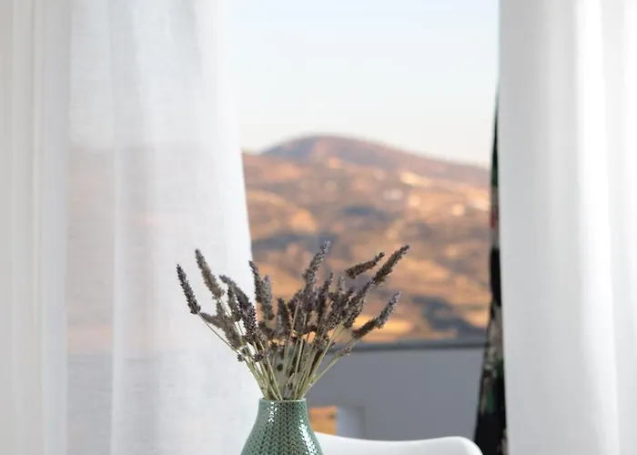 Halcyon Suites And Villas Naxos Agios Thaleleos