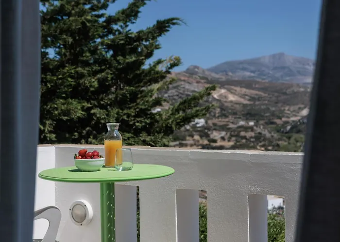 Halcyon And Naxos Lejlighedshotel Agios Thaleleos