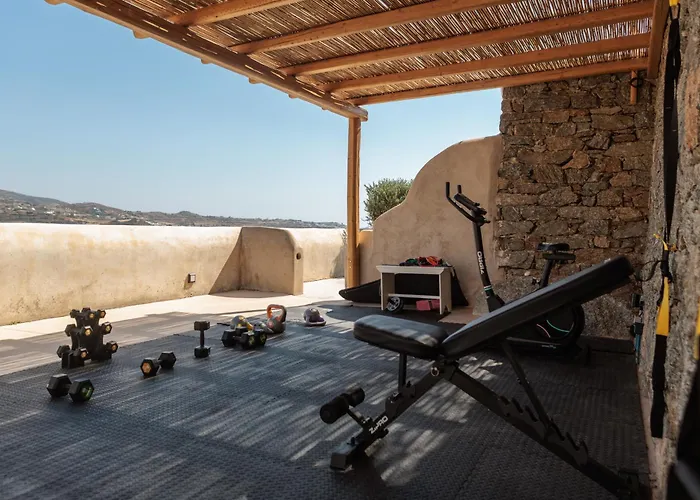 Aparthotel Halcyon Suites And Villas Naxos 4*