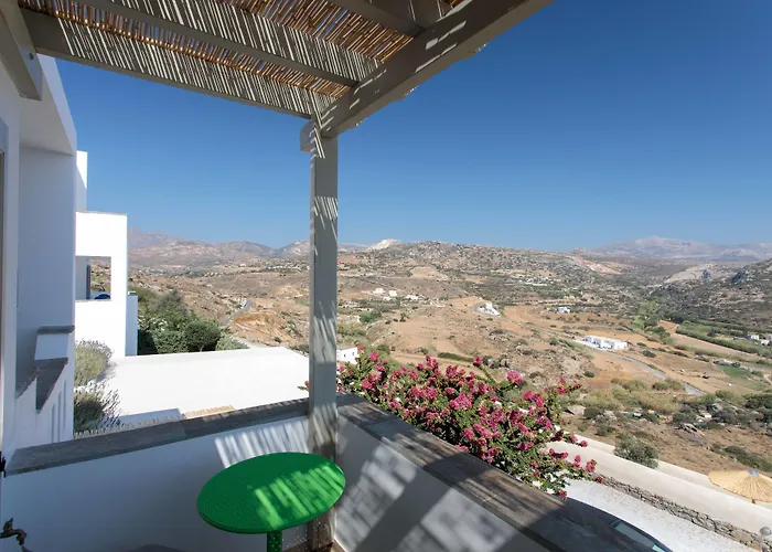 Aparthotel Halcyon Suites And Villas Naxos Agios Thaleleos